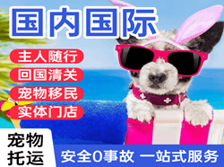 海拉尔航空空运国际宠物托运 【国
